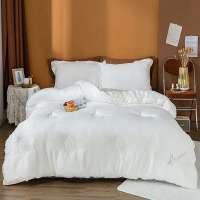 Cheap Price Hotel Quilt Cotton Ultra-Soft for Spring and Autumn