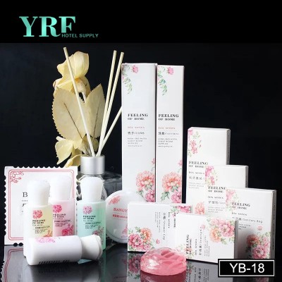 Yrf Hotel Products Wholesale Disposable Travel Toothbrush Toothpaste Set Bottle